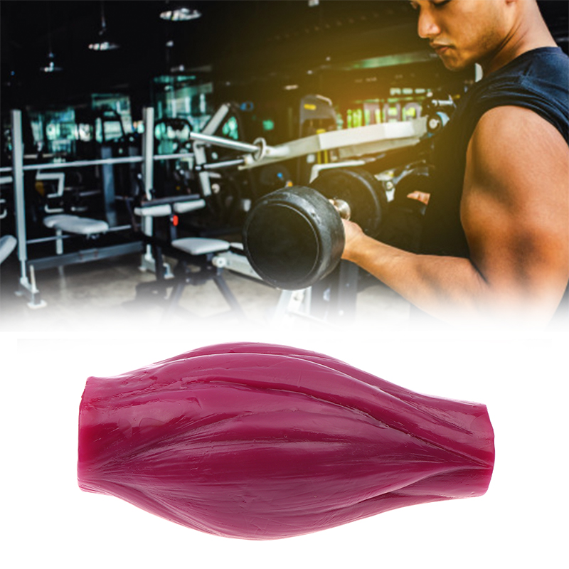 Nutrition Fitness Course - กล้ามเนื้อ 1 ปอนด์เพื่อการรักษาสมรรถภาพและแรงจูงใจในการลดน้ำหนัก แบบจำลองสำหรับหลักสูตรโภชนาการและวิทยาศาสตร์ และศูนย์ออกกำลังกาย